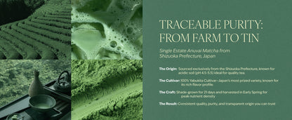 Matcha - Single Estate