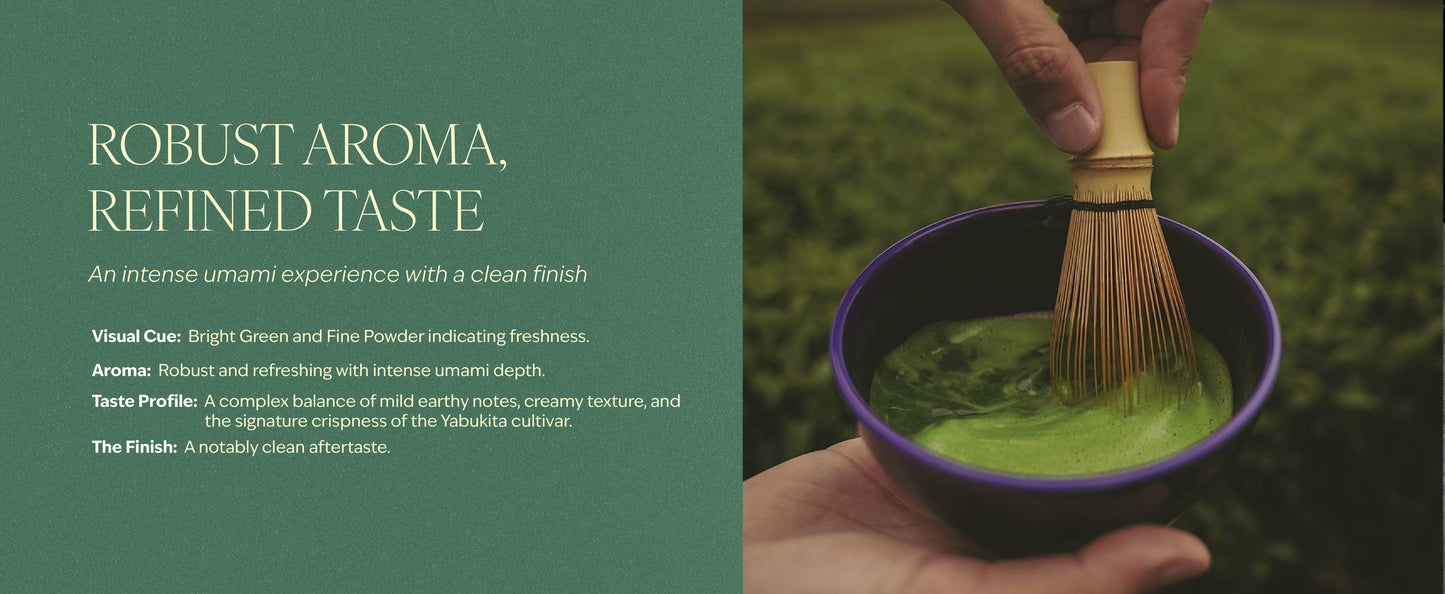 Matcha - Single Estate