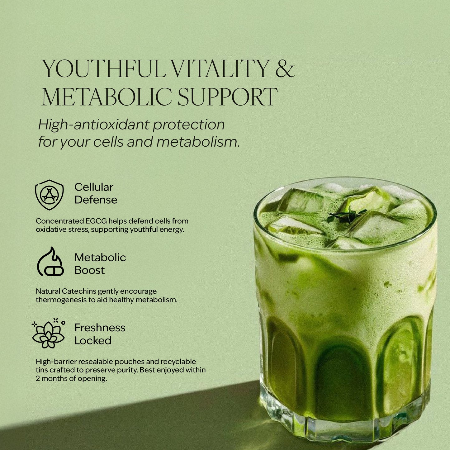 Matcha - Signature Blend