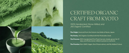 Matcha - Signature Blend