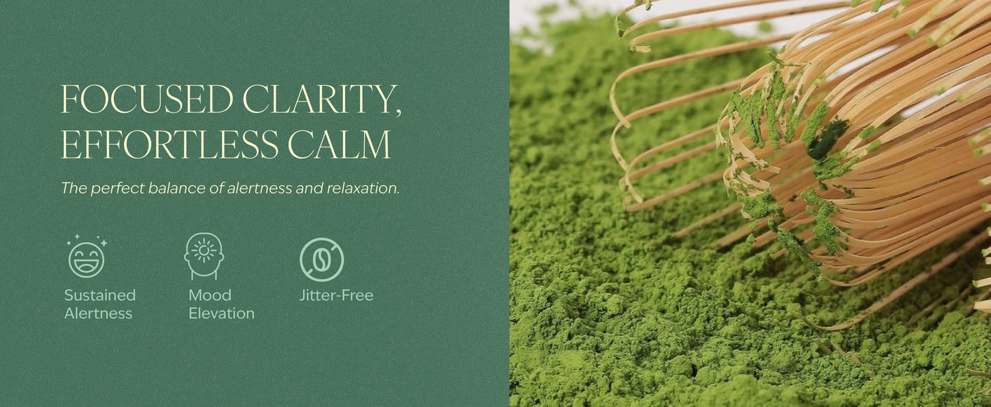 Matcha - Signature Blend